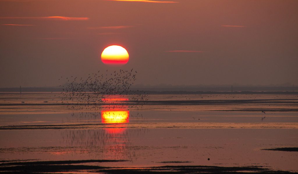 Un mare di risorse: sabato 14 agosto, serata conclusiva con una rassegna di canti tradizionali gradesi