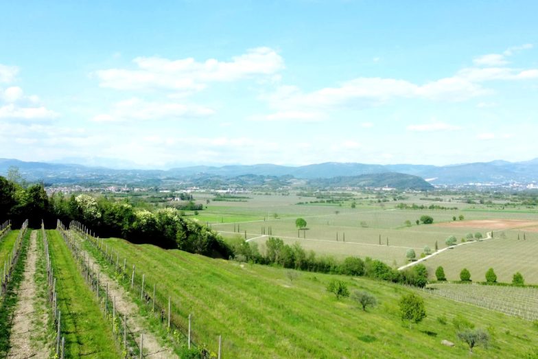 cenni a storia e tradizione della vitivinicoltura nella D.O.C. “Isonzo”