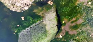 Pons Sonti, il grande ponte romano sull'Isonzo; Aesontius; Farra d'Isonzo; Mainizza; ponte romano; Mainizza; Isonzo