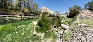 Pons Sonti, il grande ponte romano sull'Isonzo; Aesontius; Farra d'Isonzo; Mainizza; ponte romano; Mainizza; Isonzo