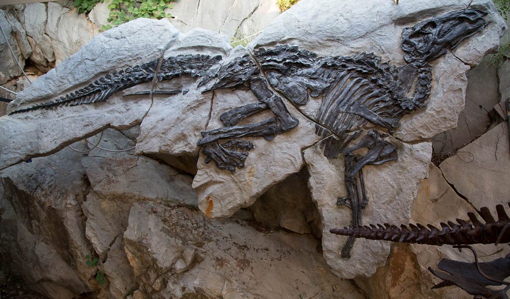 Parco paleontologico del Villaggio del Pescatore