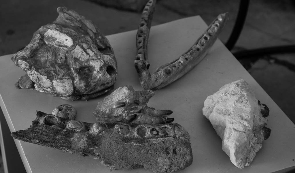 Museo di Storia e Preistoria intorno al Timavo